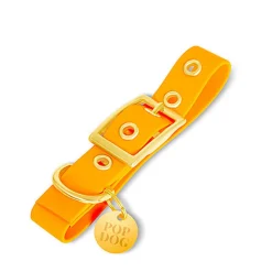 Pop Dog - Collier à ¼illet Pitchoune Orange pour Chien