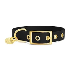 Pop Dog - Collier Badass à œillets Noir pour Chiens - XL