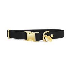 Pop Dog - Collier Badass Noir pour Chiens - L
