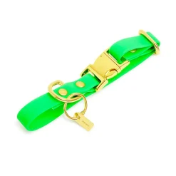 Pop Dog - Collier Diablotin Rouge pour Chien