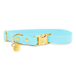 Pop Dog - Collier Dragueur Bleu pour Chien