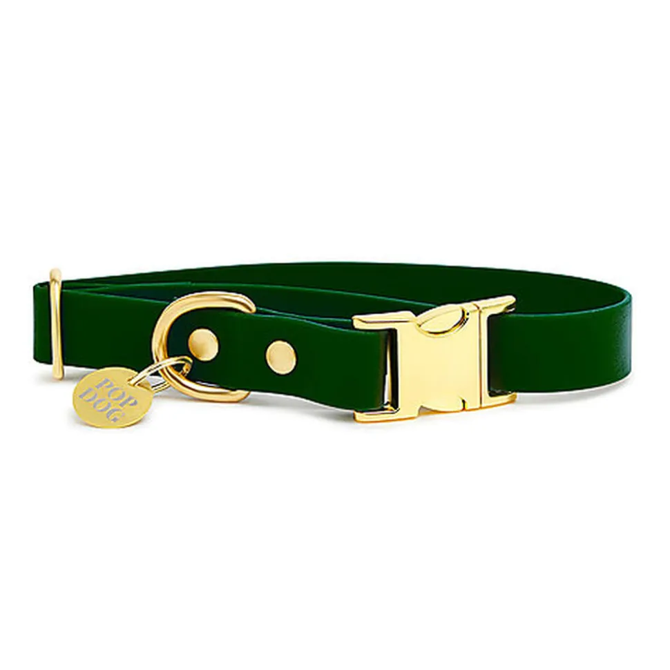 Pop Dog - Collier Elégant Vert pour Chien