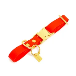 Pop Dog - Collier Foufou Orange pour Chien