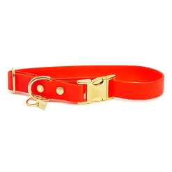 Pop Dog - Collier Foufou Orange pour Chien