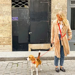 Pop Dog - Collier Foufou Orange pour Chien