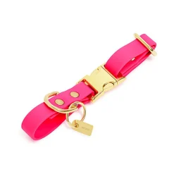Pop Dog - Collier Glouton Rose pour Chien