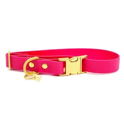 Pop Dog - Collier Glouton Rose pour Chien