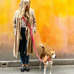 Pop Dog - Collier Glouton Rose pour Chien