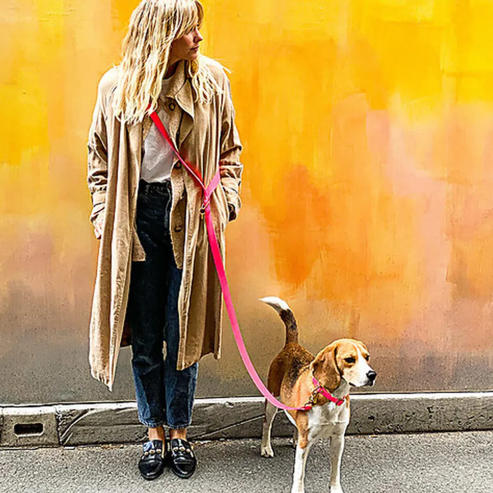 Pop Dog - Collier Glouton Rose pour Chien