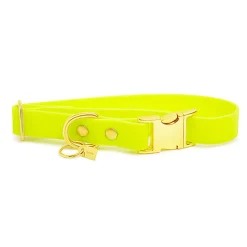 Pop Dog - Collier Joyeux Jaune pour Chien