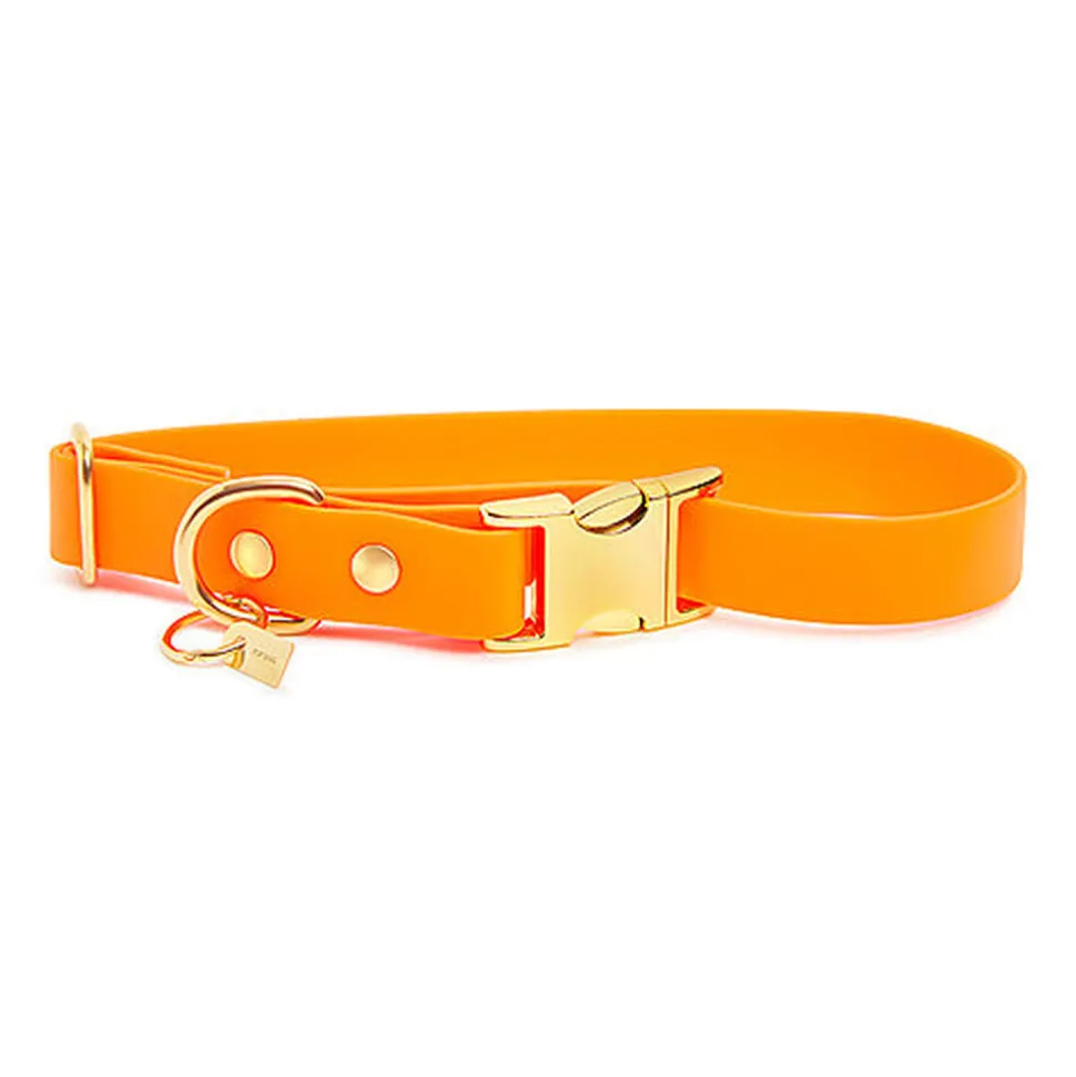 Pop Dog - Collier Pitchoune Orange pour Chien