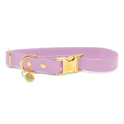 Pop Dog - Collier Précieux Violet pour Chien