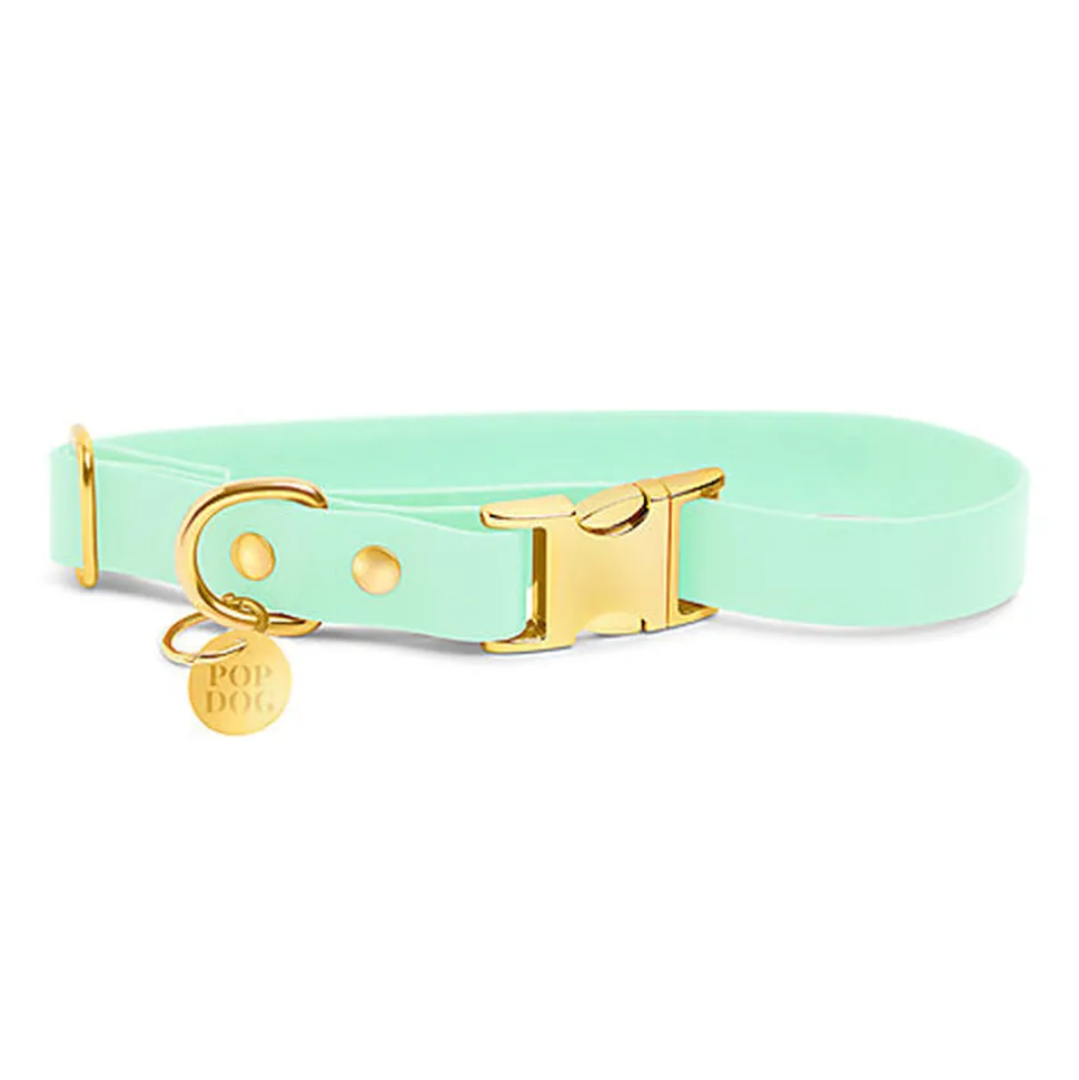 Pop Dog - Collier Swimmy Vert pour Chien