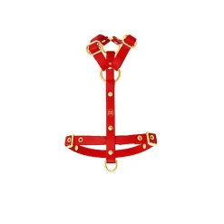 Pop Dog - Harnais à œillets Diablotin Rouge pour Chiens - S