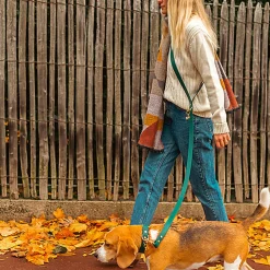 Pop Dog - Laisse Bandoulière Elégant Vert pour Chien