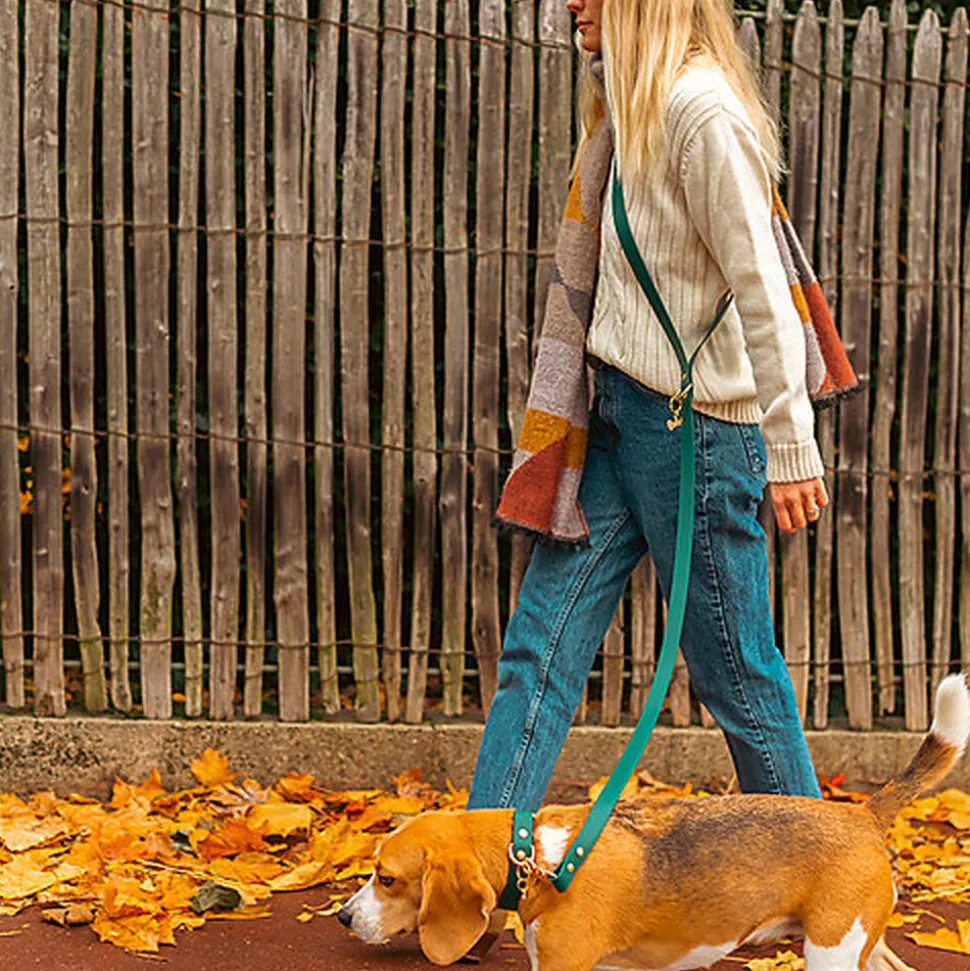 Pop Dog - Laisse Bandoulière Elégant Vert pour Chien