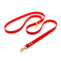 Pop Dog - Laisse Bandoulière Diablotin Rouge pour Chien