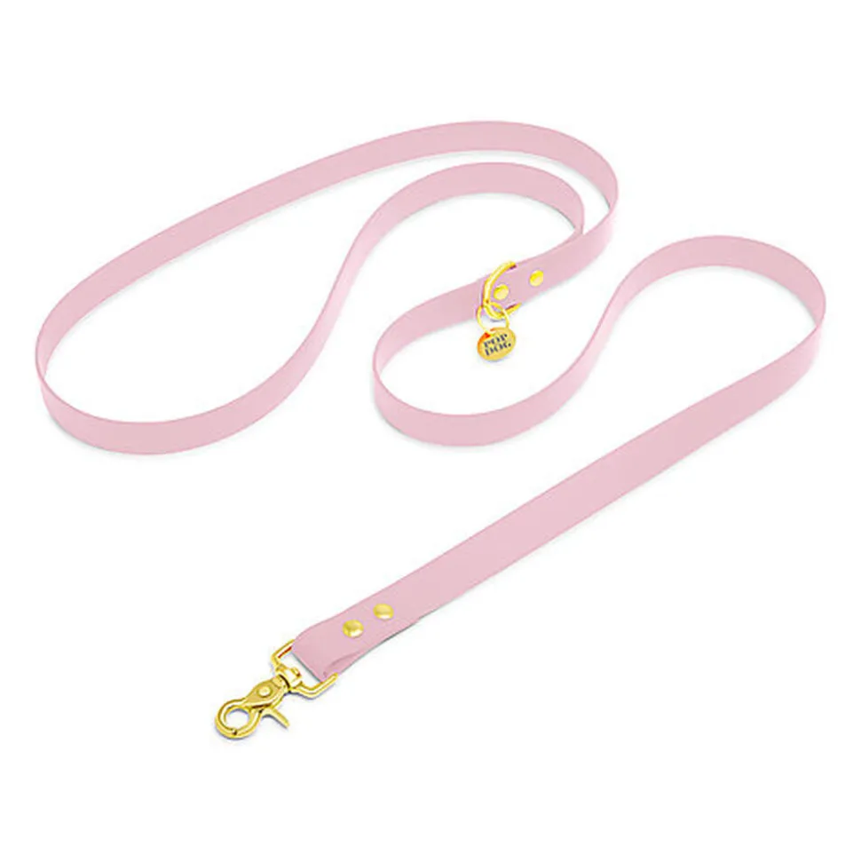 Pop Dog - Laisse Bandoulière Précieux Violet pour Chien