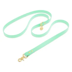 Pop Dog - Laisse Bandoulière Swimmy Vert pour Chien