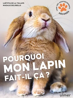 Pourquoi mon lapin fait-il ça ?