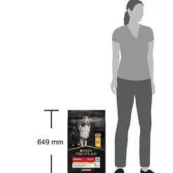 Pro Plan - Croquettes Medium Poulet pour Chien