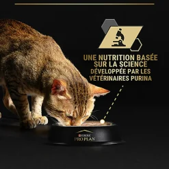 Pro Plan - Pâtée Adult 7+ pour Chat Adulte - 85g