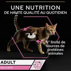 Pro Plan - Pâtée Delicate à la Dinde Pour Chat
