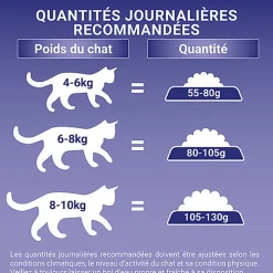 Purina One - Croquettes à la Dinde et Céréales pour Chat Adulte d'Intérieur - 1,5Kg