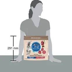 Purina One - Croquettes Adulte Sans Céréales Bœuf pour chats adultes - 1,1kg