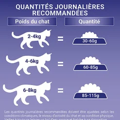 Purina One - Croquettes au Boeuf et Céréales pour Chat Adulte - 1,5Kg