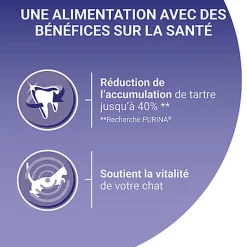 Purina One - Croquettes au Saumon et Céréales pour Chat Adulte - 1,5Kg