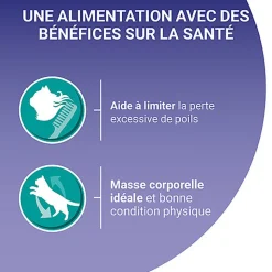 PURINA ONE - Sachets fraîcheurs Thon et Veau pour Chats d'intérieur - 4x85g