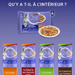 PURINA ONE - Sachets Fraîcheurs Chat difficile en Sauce Bœuf Volaille Légumes pour Chats - 4X85g