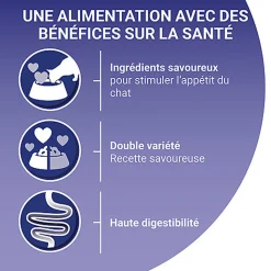 PURINA ONE - Sachets Fraîcheurs Chat difficile en Sauce Bœuf Volaille Légumes pour Chats - 4X85g