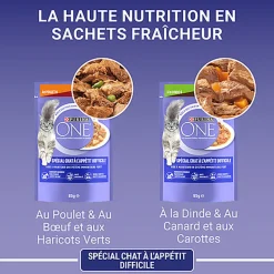 PURINA ONE - Sachets Fraîcheurs Chat difficile en Sauce Bœuf Volaille Légumes pour Chats - 4X85g