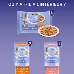 PURINA ONE - Sachets fraîcheurs Pelage Boules de Poils Saumon et Poulet pour Chats - 4x85g