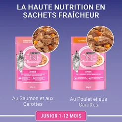 PURINA ONE - Sachets Fraîcheurs en Sauce Saumon et Poulet pour Chatons - 8x85g