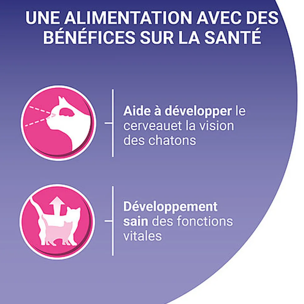 PURINA ONE - Sachets fraîcheurs au Saumon pour Chatons - 4x85g