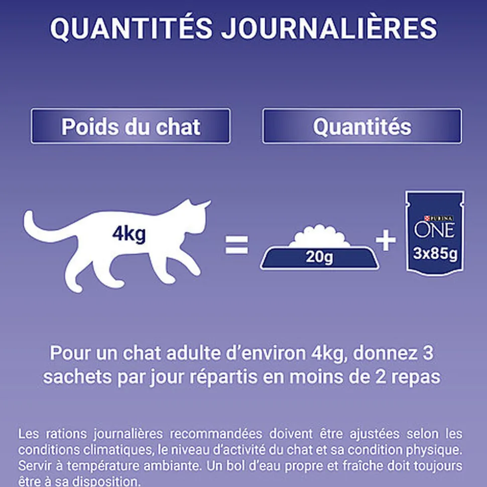 PURINA ONE - Sachets fraîcheurs au Saumon pour Chatons - 4x85g