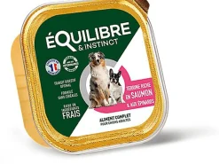 Équilibre & Instinct - Pâtée Saumon et Légumes pour Chiens - 300g