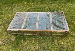 Reptiles Planet - Bache Tortoise Park Cover