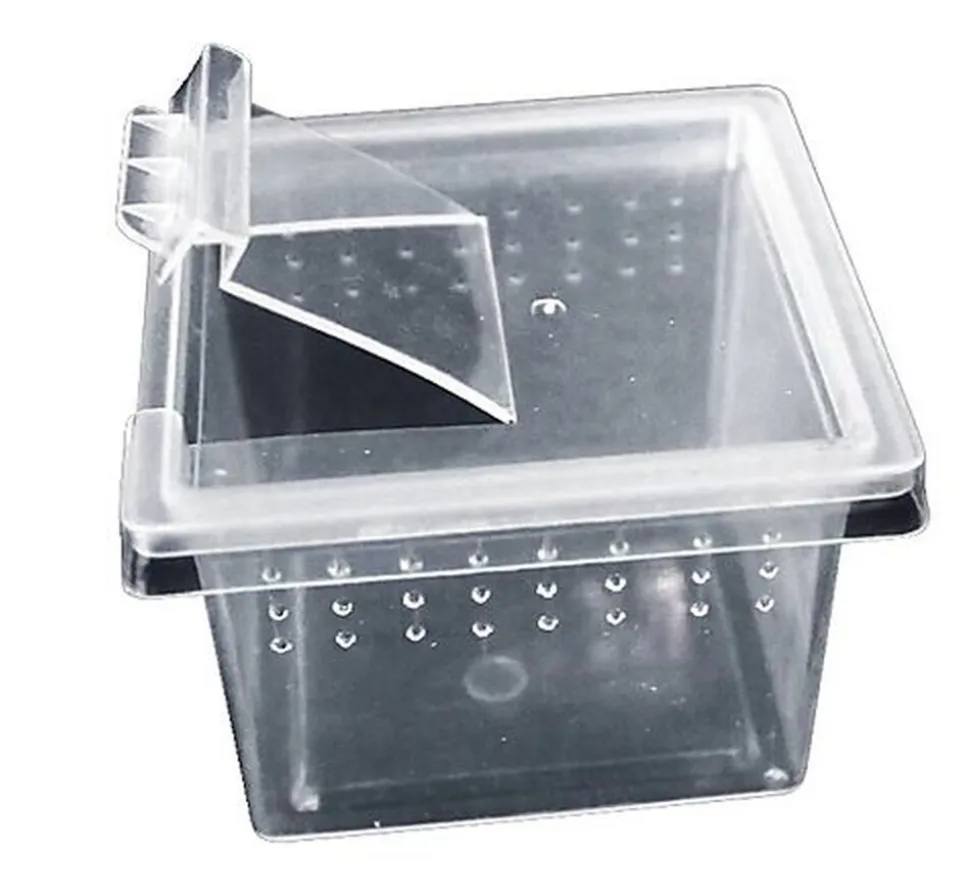 Reptiles Planet - Boite Elevage Reptiles ou Insectes XS - 6,8x6,8x4,5cm