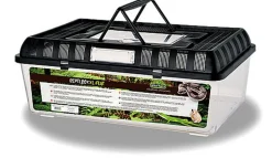 Reptiles Planet - Terrarium en Plastique Repti Box Plat - XL