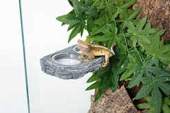 Reptizoo - Mangeoire Magnétique Double "Pierre" - 18x9,2x2,8cm