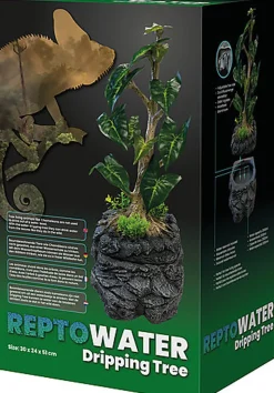 Repto - Arbre à Gouttes D'Eau - Réptiles