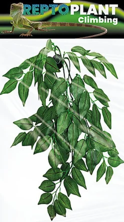 Repto - Décoration Plante Verte Suspendue - 30cm