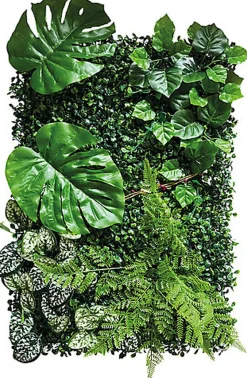 Repto - Décoration Repto Plant Back Wall Mat 40-60 Cm 2