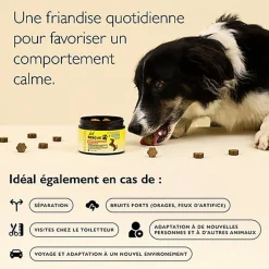 Rescue Pets - Friandises Relaxantes pour chiens - 160g