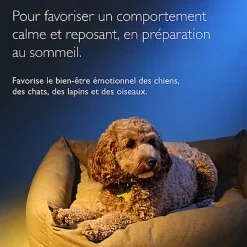 Rescue Pets -  Mélange NUIT Compte-gouttes Fleur de Bach - 20ml