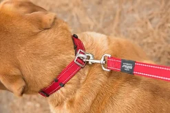 Rogz - Collier de Sécurité Safety Collar Noir pour Chien